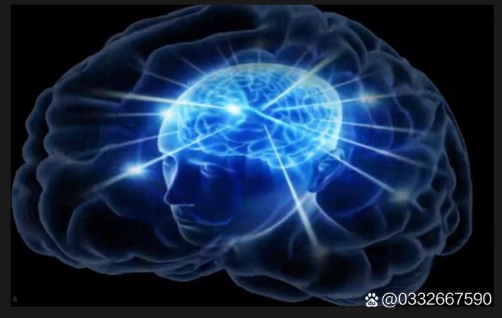 51黑料网 - 某顶流男星被曝与经纪人隐婚三年，女方已孕